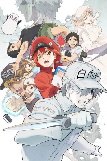 Hataraku Saibou 2. Sezon