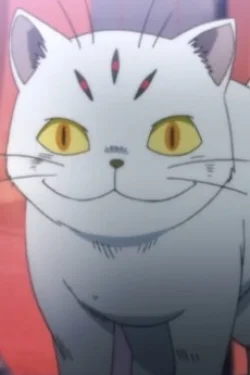 Nekomodoki